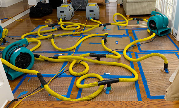 Professional Sewage Cleanup technician working in New Athens, OH