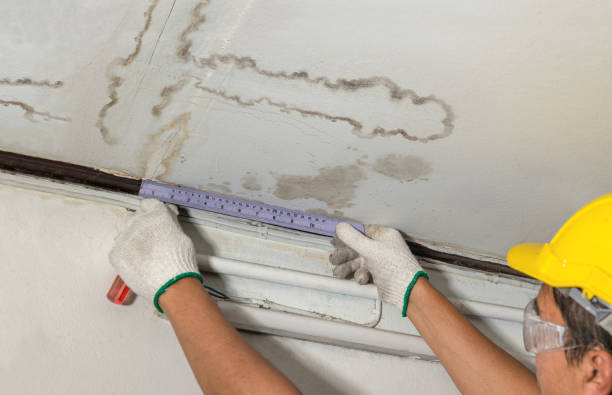 Affordable Sewage Cleanup solutions in New Athens, OH
